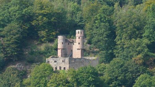 03-Neckarsteinach(3)