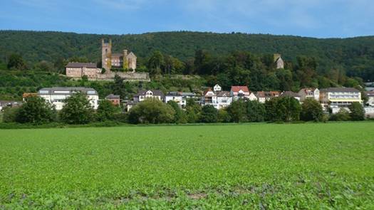03-Neckarsteinach(9)